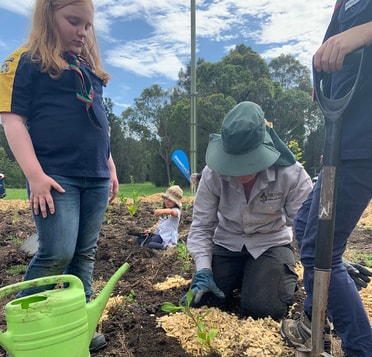 Berkeley planting day