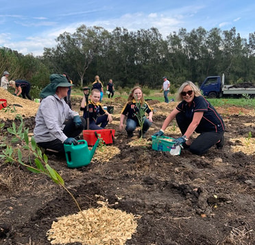 Berkeley planting day