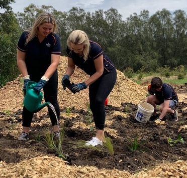 Berkeley planting day