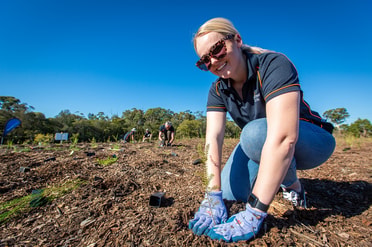 Cockle Creek Planting Day