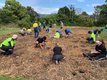Fairy Meadow planting day