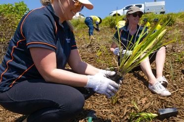 King Edward Park planting day - Growing Greater Together