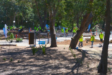 Port Stephens Planting Site