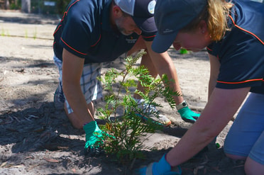 Port Stephens Planting Site