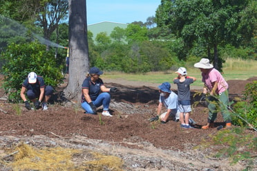 Raworth Planting