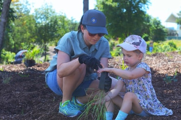 Raworth Planting