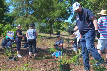 Raworth Planting