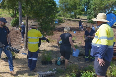 Raworth Planting