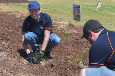Raworth Planting
