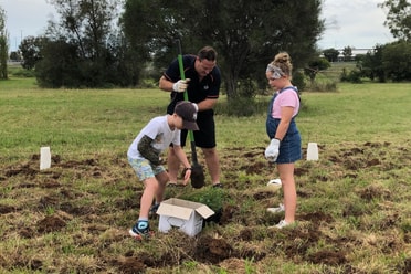Tamworth planting day
