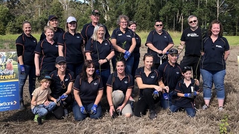 Porters Creek Planting
