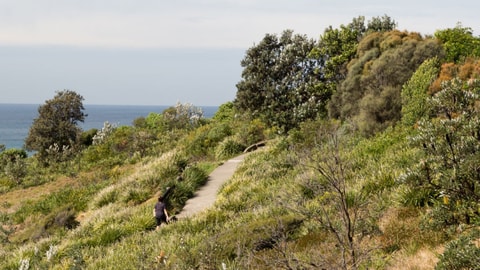 The Hill, King Edward Park 