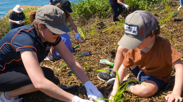 King Edward Park planting day - Growing Greater Together