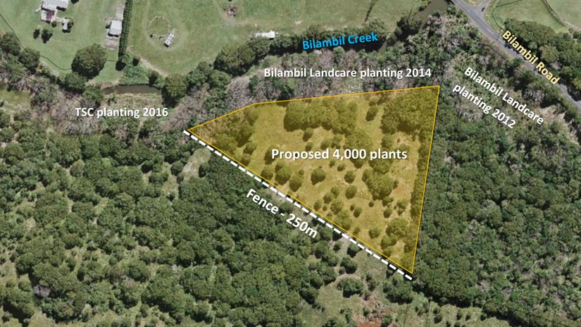 Bilambil Creek Planting Plan