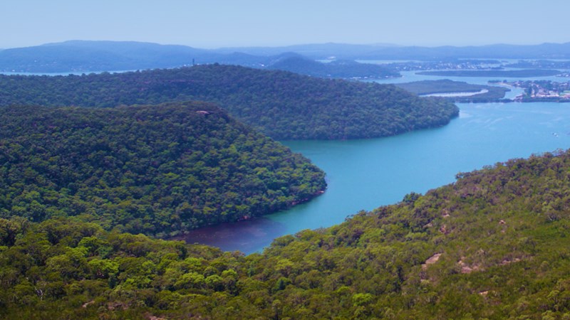 Central Coast