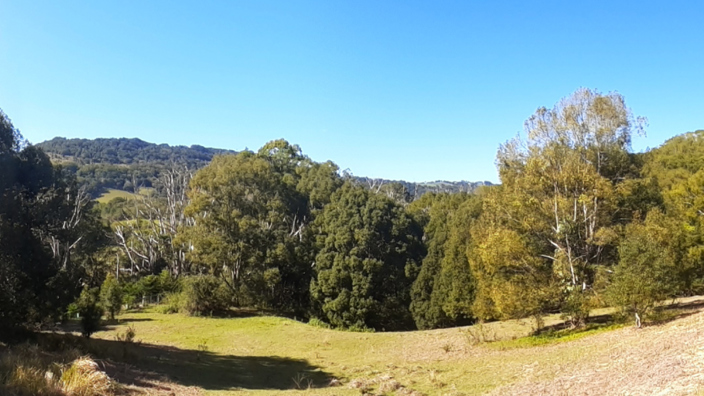 Bilambil Creek 