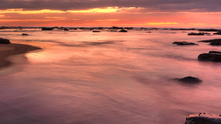 Central Coast Dunecare