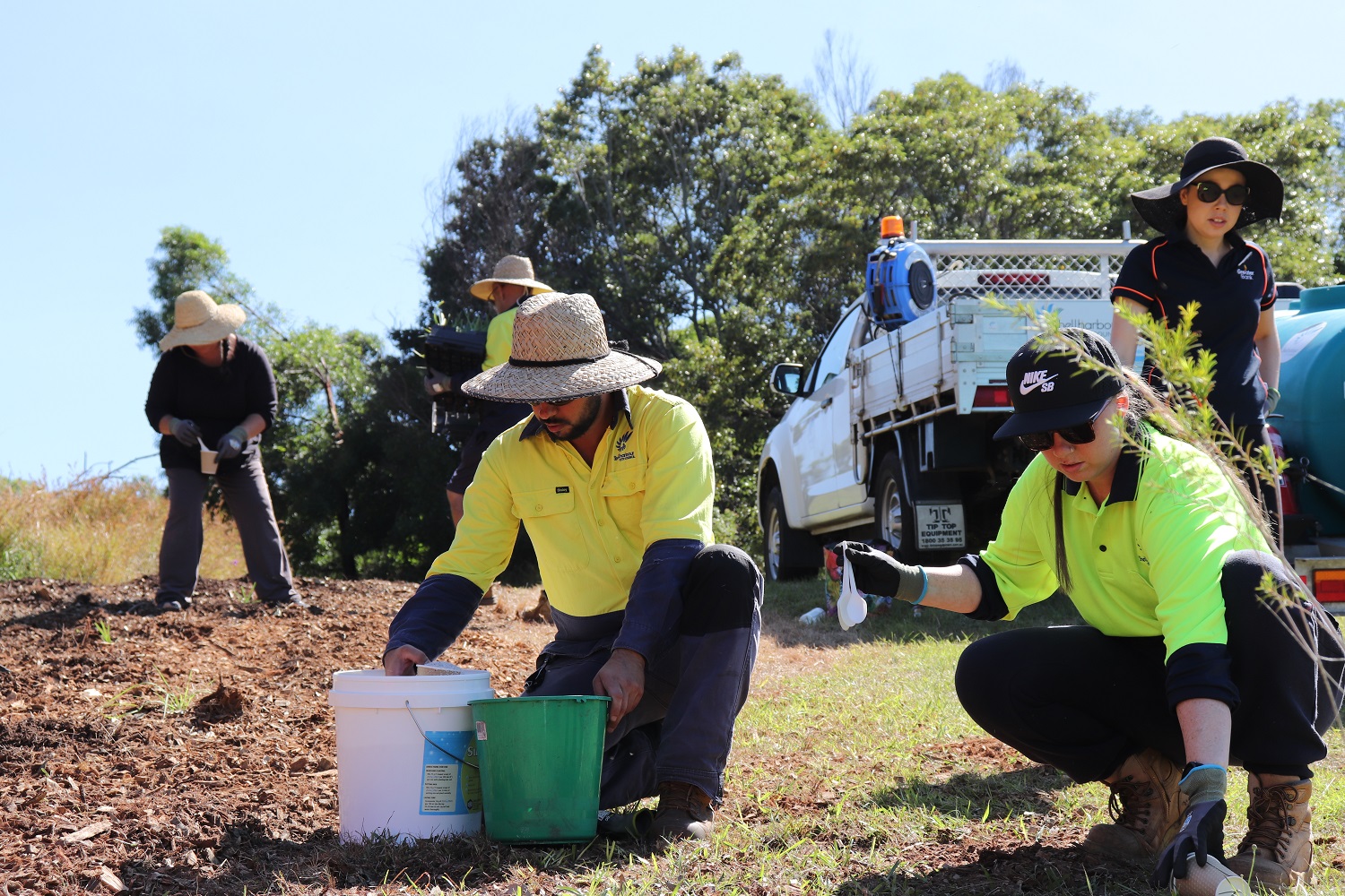 Blackbutt planting day