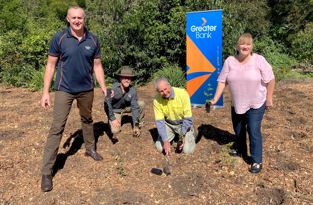 Blackbutt planting day