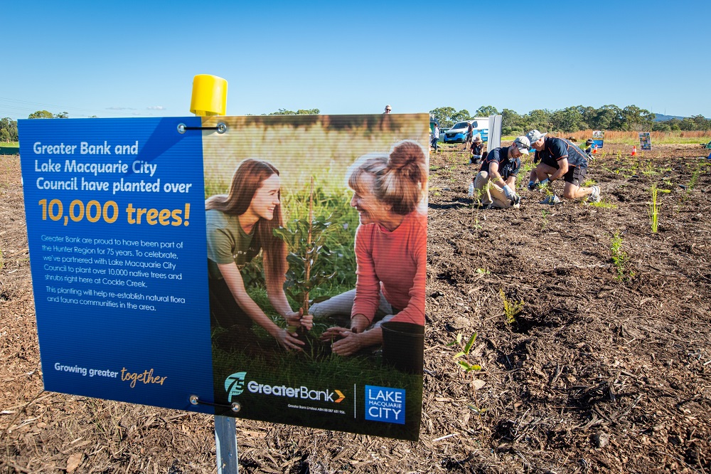 Cockle Creek Planting Day