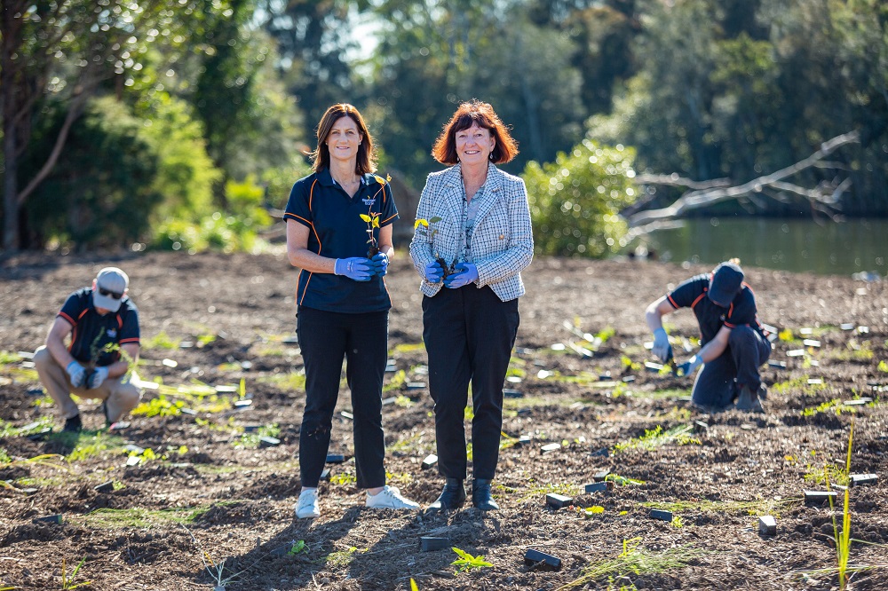 Cockle Creek Planting Day