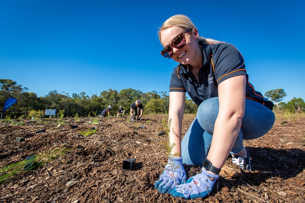 Cockle Creek Planting Day