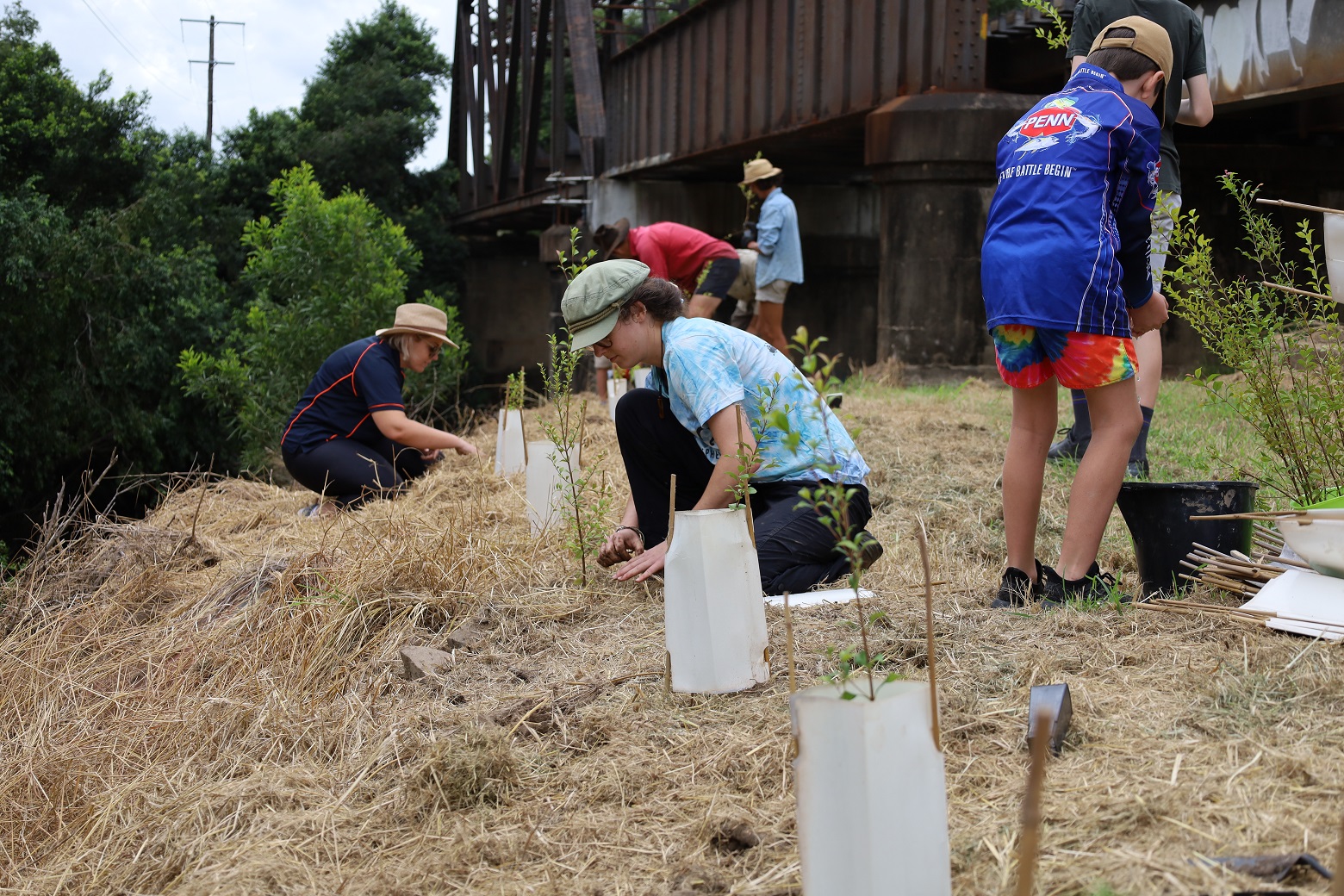 Dungog planting day