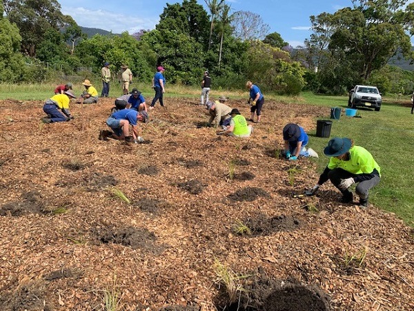 Fairy Meadow planting day