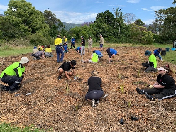 Fairy Meadow planting day