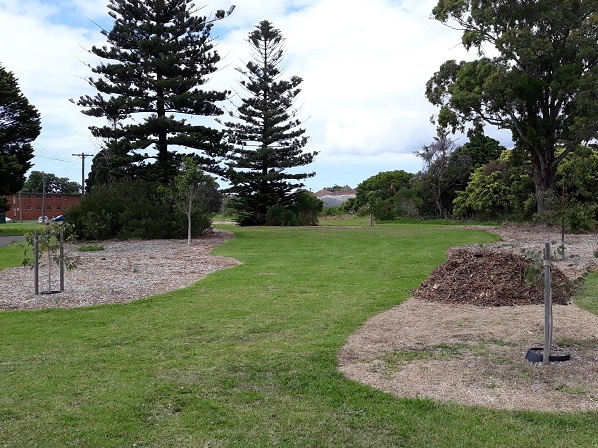 Fairy Meadow planting day