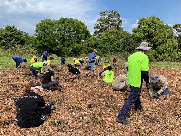 Fairy Meadow planting day
