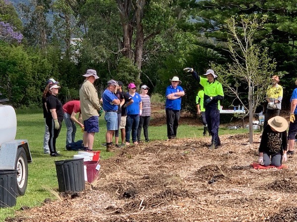 Fairy Meadow planting day