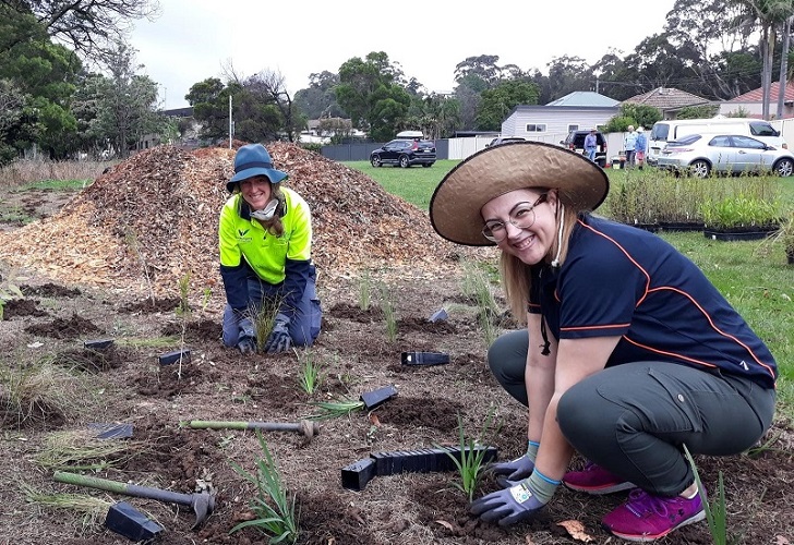 Figtree planting day