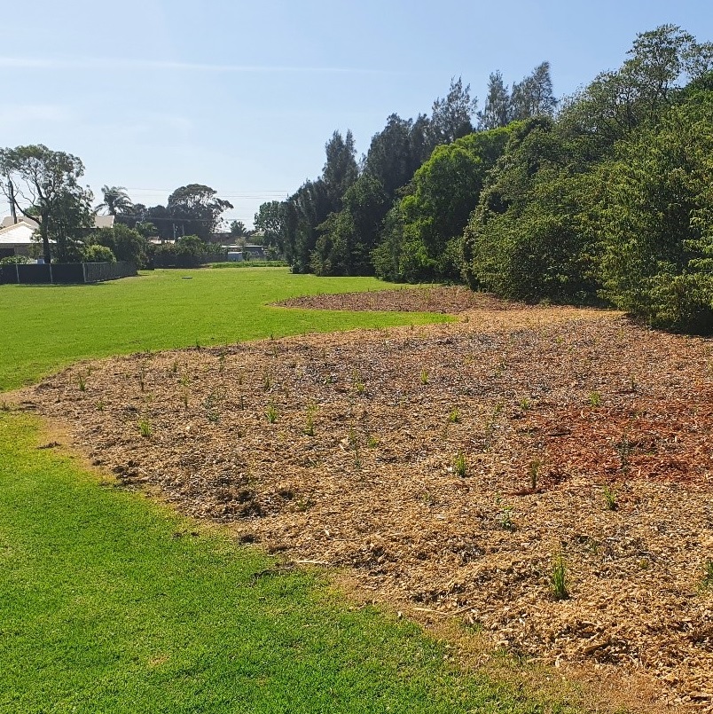 Mountbatten Planting Day