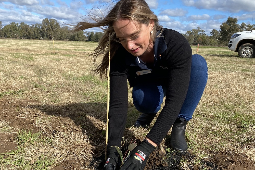 Regand Park Planting Day