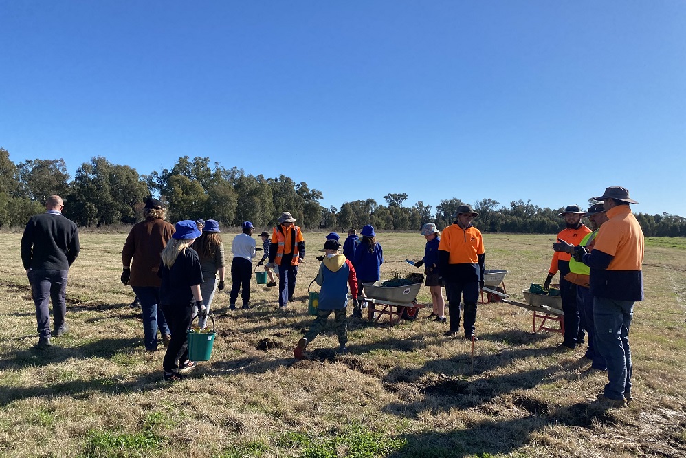 Regand Park Planting Day