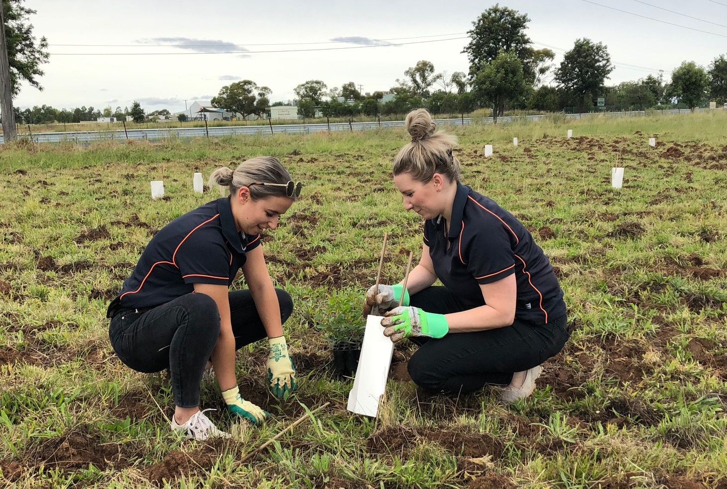 Tamworth planting day
