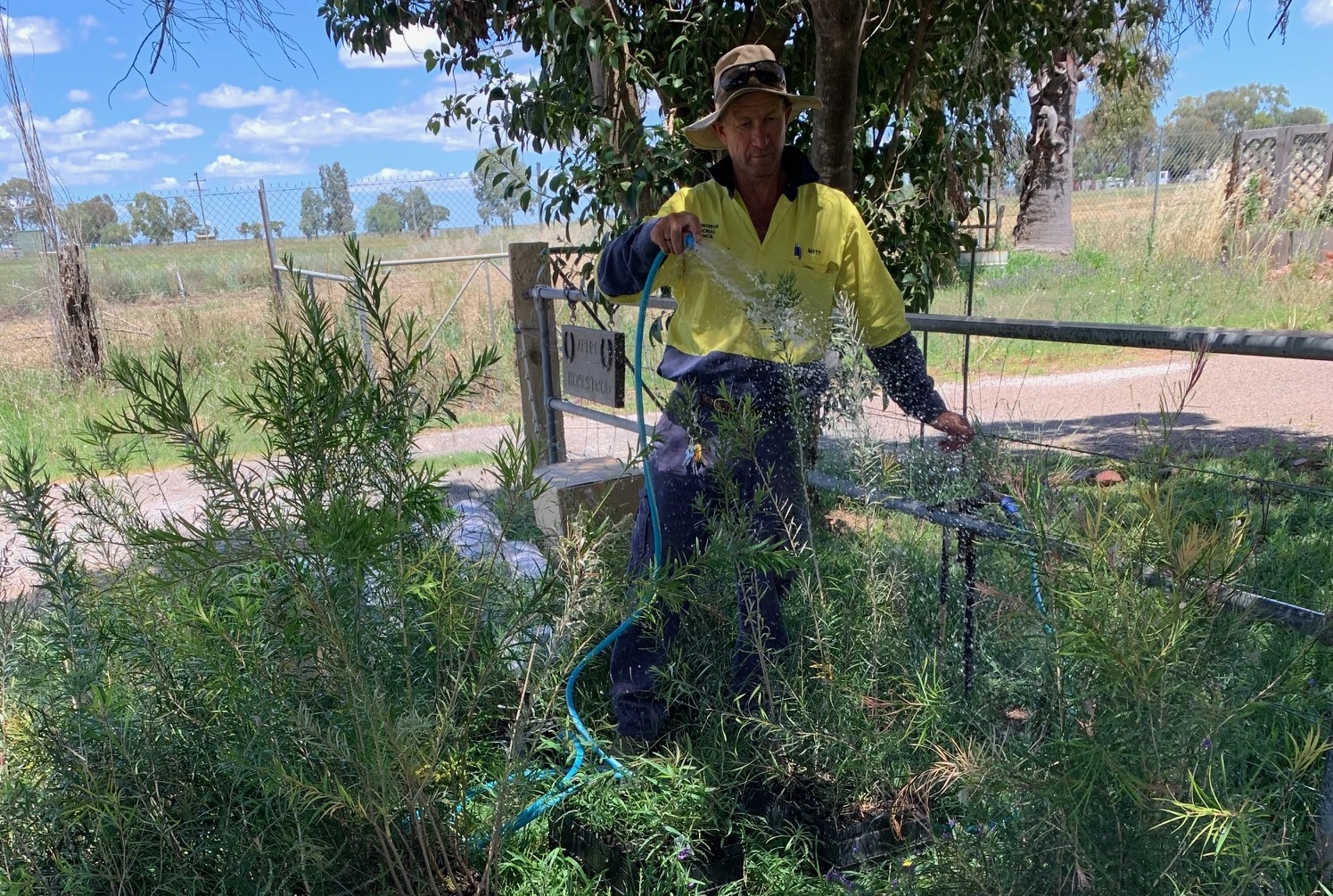 Tamworth planting day