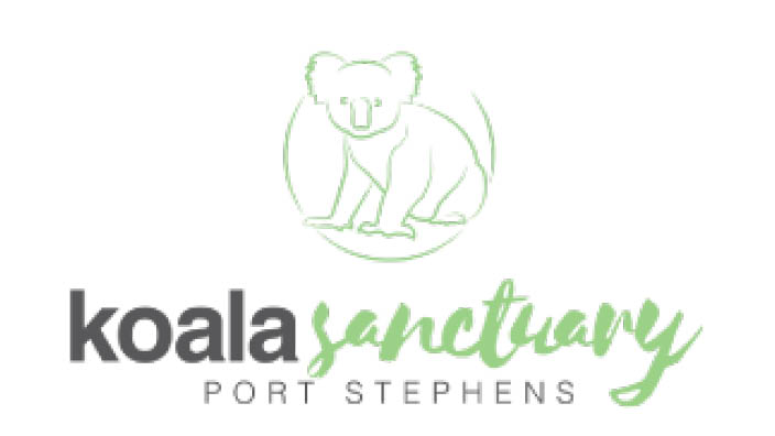 Koala Sanctuary Port Stephens