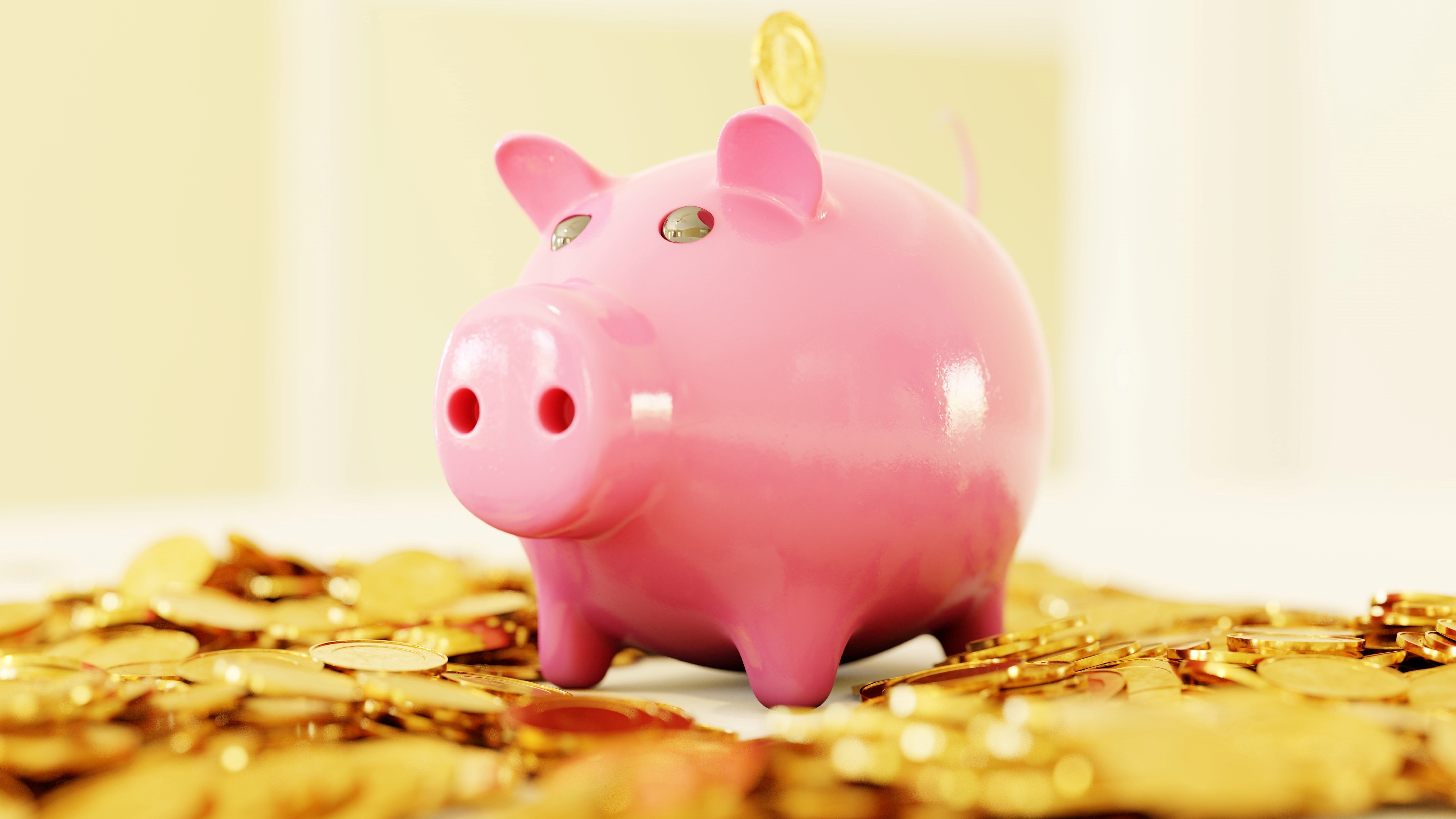 What are high interest savings accounts blog image.jpg